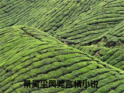 完整版小说（景奚尘凤莞）最新在线阅读-景奚尘凤莞小说（景奚尘凤莞）免费阅读全文
