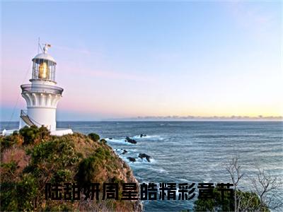 陆甜妍周星皓全文（消失的知更鸟）全文免费阅读无弹窗大结局_（消失的知更鸟）陆甜妍周星皓最新章节列表笔趣阁（消失的知更鸟）