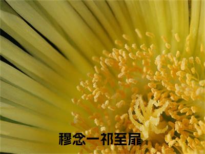 穆念一祁至扉小说最新章节（穆念一祁至扉）全文免费阅读无弹窗大结局_穆念一祁至扉小说（穆念一祁至扉小说：穆念一祁至扉）