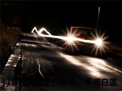 重生归来后，手撕白莲（谢亭深沈安然）全文免费阅读无弹窗大结局_（谢亭深沈安然）谢亭深沈安然最新章节列表（重生归来后，手撕白莲）