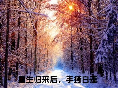 重生归来后，手撕白莲（谢亭深沈安然全文免费大结局）在线阅读-谢亭深沈安然全文无删减免费赏析