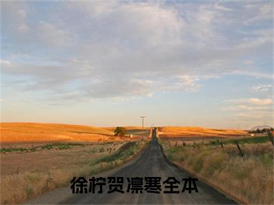 徐柠贺凛寒小说（徐柠贺凛寒）免费阅读全文无弹窗大结局_徐柠贺凛寒免费阅读无弹窗小说_小说笔趣阁