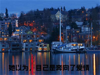 孟云岚苏淮安小说全文免费阅读无弹窗大结局-她以为，自己是奔向了爱情 小说在哪里可以看