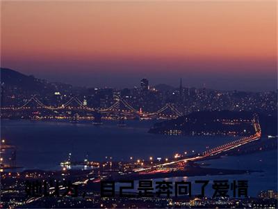 孟云岚苏淮安全文最新章节（她以为，自己是奔向了爱情）全文免费阅读无弹窗大结局_她以为，自己是奔向了爱情免费阅读（孟云岚苏淮安全文）