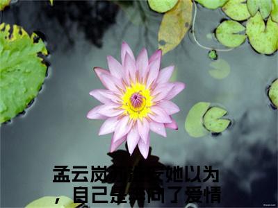 孟云岚苏淮安的小说免费阅读言情小说《她以为，自己是奔向了爱情》全文-她以为，自己是奔向了爱情的小说免费阅读小说无弹窗阅读