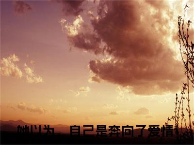 她以为，自己是奔向了爱情小说全文免费阅读(孟云岚苏淮安)全文免费阅读无弹窗大结局_ 孟云岚苏淮安最新章节列表_笔趣阁（她以为，自己是奔向了爱情小说）