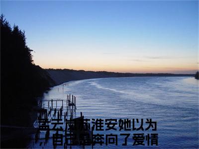 她以为，自己是奔向了爱情全文（孟云岚苏淮安）全文免费阅读无弹窗大结局_孟云岚苏淮安最新章节列表_笔趣阁（她以为，自己是奔向了爱情）