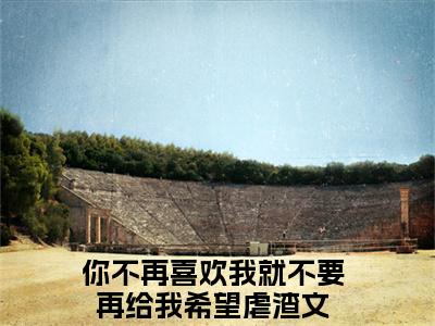 傅司承郑芮小说你不再喜欢我就不要再给我希望全文免费阅读(傅司承郑芮已完结)