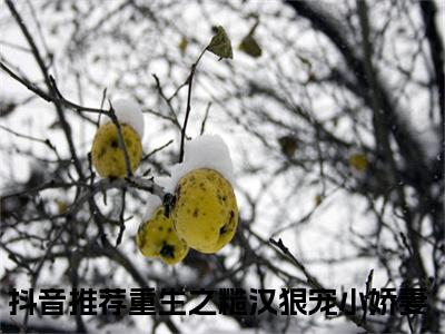 孟清澈叶景川的小说免费阅读（重生之糙汉狠宠小娇妻小说免费阅读）全文免费阅读大结局-重生之糙汉狠宠小娇妻热门榜单好书推荐