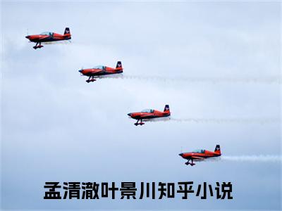 热文重生之糙汉狠宠小娇妻在线免费读-孟清澈叶景川的小说（重生之糙汉狠宠小娇妻）完整版免费读全文
