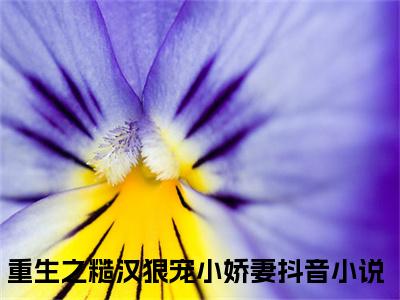 孟清澈叶景川（重生之糙汉狠宠小娇妻）全文免费阅读无弹窗大结局_孟清澈叶景川免费阅读无弹窗最新章节列表_笔趣阁