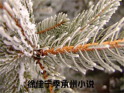 徐佳宁季承州小说在线阅读全文完整版免费阅读_徐佳宁季承州小说免费最新章节列表