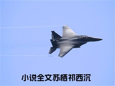 （苏栖祁西沉）全文免费阅读无弹窗大结局_（苏栖祁西沉阅读无弹窗）苏栖祁西沉最新章节列表_笔趣阁（苏栖祁西沉）