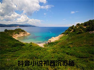 祁西沉苏栖（祁西沉苏栖）全文免费阅读无弹窗_祁西沉苏栖小说在线阅读_笔趣阁