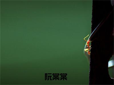 快穿：福孕小娇娇驾到，通通闪开热门小说阮棠棠最新章节免费阅读-完结版全文阮棠棠小说在线阅读