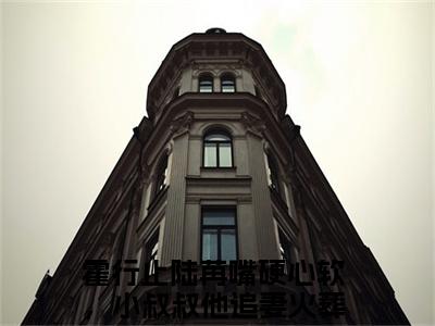 霍行止陆苒小说全文免费阅读嘴硬心软，小叔叔他追妻火葬场了免费完整版阅读