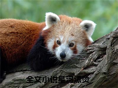 尹晚沈清珂沈清铭(星河滚烫)抖音热推小说全集无删减_(星河滚烫免费阅读全文大结局)最新章节列表_笔趣阁