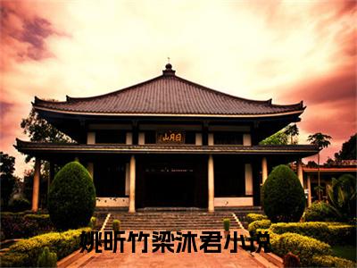 姚昕竹梁沐君精彩小说姚昕竹梁沐君大结局全本免费阅读