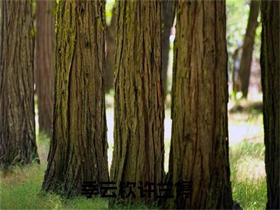 季云钦许兰婷(季云钦许兰婷)小说全文免费阅读无弹窗大结局_（季云钦许兰婷全文免费阅读）季云钦许兰婷最新章节列表笔趣阁（季云钦许兰婷）