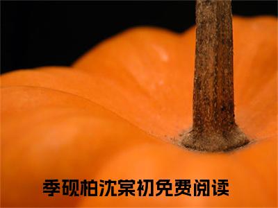 季砚柏沈棠初热门小说最新章节免费阅读-完结版全文季砚柏沈棠初小说在线阅读