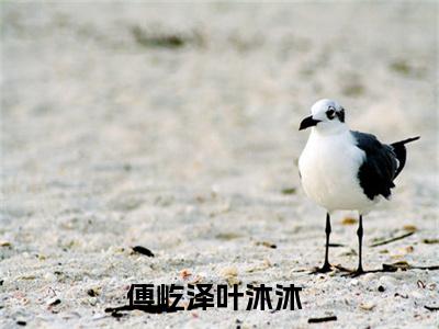 傅屹泽叶沐沐小说免费阅读无弹窗,小说名字是：傅屹泽叶沐沐的小说在线阅读无删减