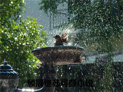 顾宸恺苏可颜（顾宸恺苏可颜）全文免费阅读无弹窗_顾宸恺苏可颜最新小说_笔趣阁（顾宸恺苏可颜）