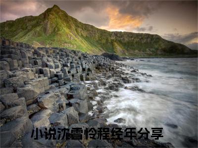 沈雪怜程经年小说热门榜单免费阅读，沈雪怜程经年抖音新上热文分享_笔趣阁