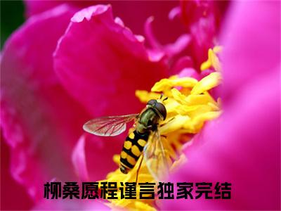 柳桑愿程谨言（柳桑愿程谨言）全文免费阅读无弹窗大结局_柳桑愿程谨言最新章节列表_