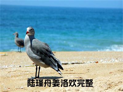 陆瑾舟姜洛欢小说全文阅读无弹窗大结局_（陆瑾舟姜洛欢）最新章节列表_笔趣阁