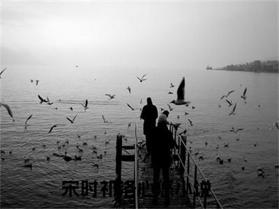 宋时祁洛心悠（宋时祁洛心悠）全文免费阅读无弹窗大结局宋时祁洛心悠