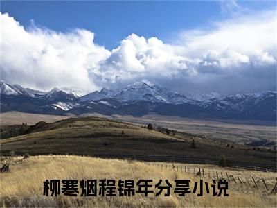 柳寒烟程锦年全文免费阅读_（柳寒烟程锦年免费阅读无弹窗）柳寒烟程锦年最新章节在线阅读