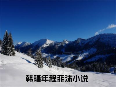 韩瑾年程菲沫小说免费在线阅读无弹窗-主角是韩瑾年程菲沫的小说