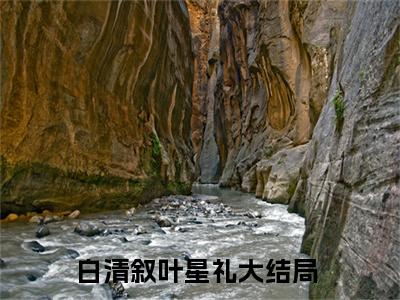白清叙叶星礼2023热门榜单首发小说阅读无弹窗 白清叙叶星礼言情小说最新章节