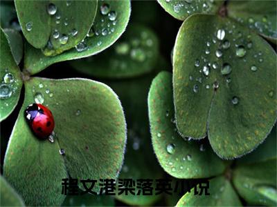 程文港梁落英最新章节（程文港梁落英）全文免费阅读无弹窗大结局_程文港梁落英免费阅读（程文港梁落英）