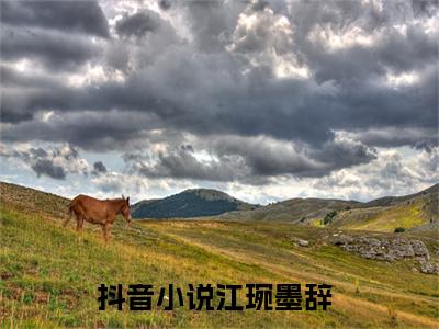 江琬墨辞言情推荐小说阅读-小说《江琬墨辞》江琬墨辞免费阅读