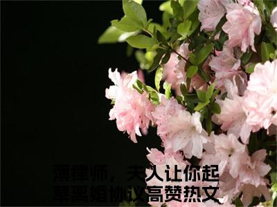 顾寒烟薄寒枭（薄律师，夫人让你起草离婚协议）全文免费阅读无弹窗大结局_薄律师，夫人让你起草离婚协议全文免费阅读_笔趣阁（顾寒烟薄寒枭）