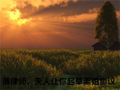 （顾寒烟薄寒枭）薄律师，夫人让你起草离婚协议小说全文免费阅读无弹窗大结局_薄律师，夫人让你起草离婚协议（顾寒烟薄寒枭）最新章节列表笔趣阁