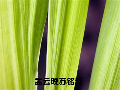 孟云晚苏铭安小说全文(孟云晚苏铭安)全文免费阅读无弹窗大结局_ 孟云晚苏铭安全文免费阅读最新章节列表
