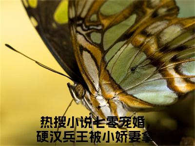 【新书】《七零宠婚，硬汉兵王被小娇妻拿捏了》陆满月魏定邦全文全章节免费阅读