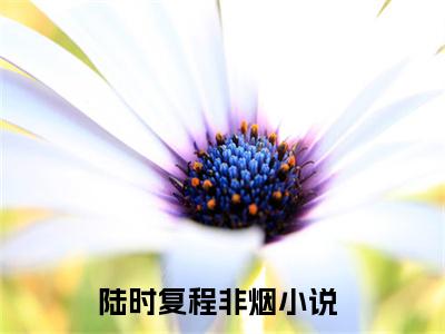 陆时复程非烟免费小说 陆时复程非烟全文完整版阅读