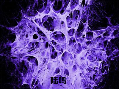 明星恋爱全文免费阅读大结局 陆鸣最新章节列表
