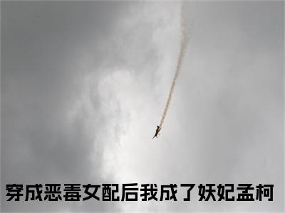 孟柯（穿成恶毒女配后我成了妖妃）多人推荐-穿成恶毒女配后我成了妖妃孟柯好看的小说完整版全文