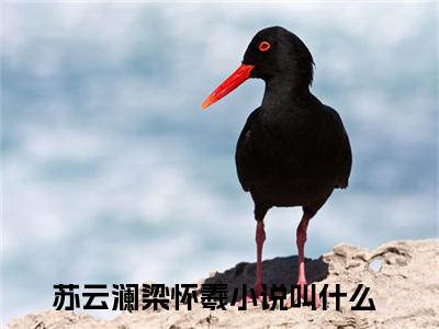 苏云澜梁怀羲(苏云澜梁怀羲)全文免费阅读无弹窗_(苏云澜梁怀羲)苏云澜梁怀羲最新章节列表笔趣阁（苏云澜梁怀羲）