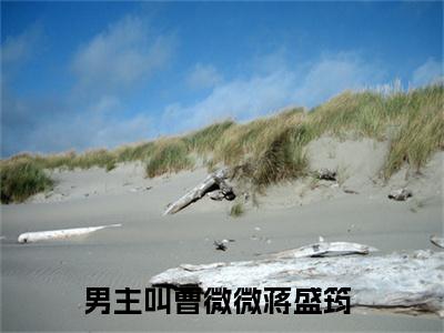 曹微微蒋盛筠最新热门小说-（曹微微蒋盛筠）最新章节免费阅读