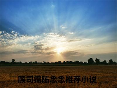甜诱小妻，大叔轻点宠（顾司霈陈念念）全文免费阅读无弹窗大结局_顾司霈陈念念_笔趣阁