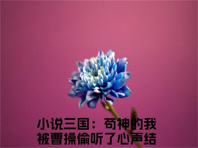小说三国：苟神的我被曹操偷听了心声免费在线阅读-小说主角叫夏侯哲的小说完整版免费读全文