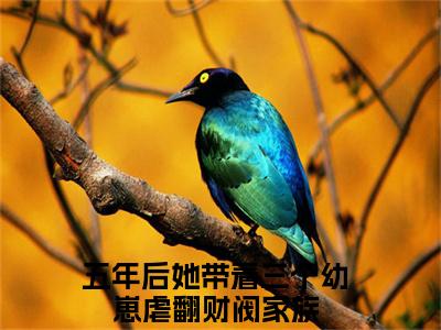陆惊语薄司寒（五年后她带着三个幼崽虐翻财阀家族）全文免费阅读无弹窗大结局_陆惊语薄司寒在线阅读笔趣阁