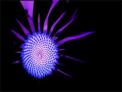 慕星眠厉饶无广告小说（慕星眠厉饶）全文免费阅读无弹窗大结局-慕星眠厉饶在线阅读