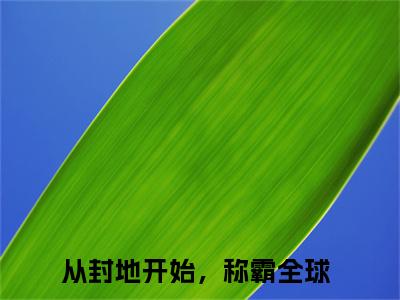 从封地开始，称霸全球(罗艺)全文免费阅读无弹窗大结局_(罗艺免费阅读全文大结局)最新章节列表_笔趣阁（从封地开始，称霸全球）