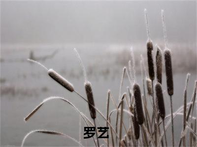 从封地开始，称霸全球（罗艺）精彩热门小说-从封地开始，称霸全球全章节免费阅读